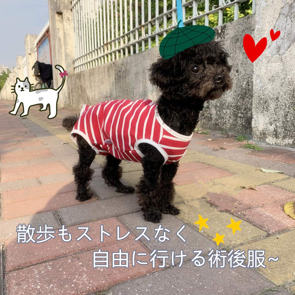 Amazon | 犬 術後ウェア 術後服 ワンちゃん 小型犬 保護服 傷舐め 傷口